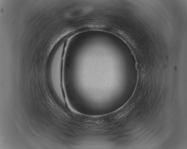 X0000086080727200704091300