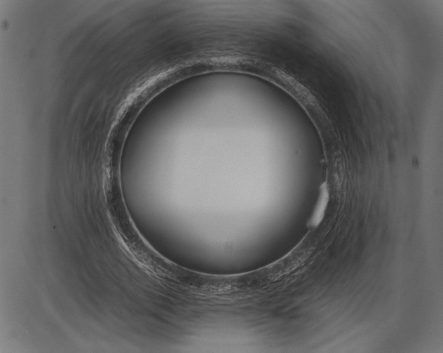 X0000086080728200704091300