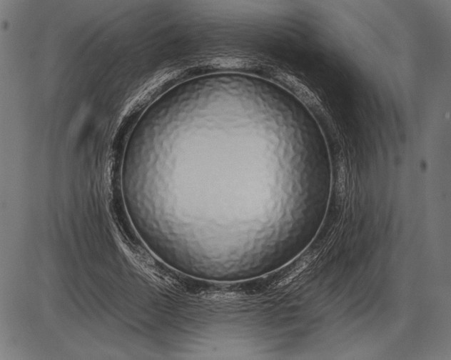 X0000086080730200704091300