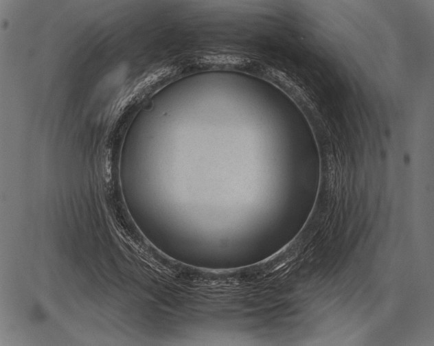 X0000086080731200704091300