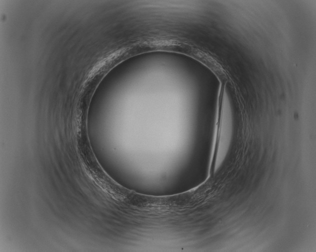 X0000086080732200704091300