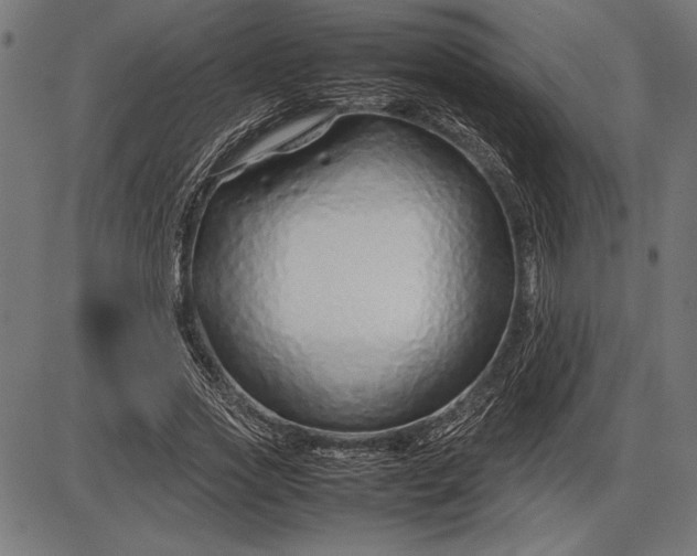 X0000086080733200704091300