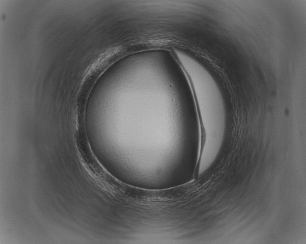 X0000086080734200704091300