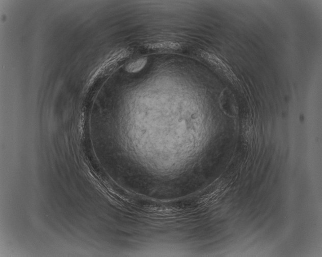 X0000086080735200704091300