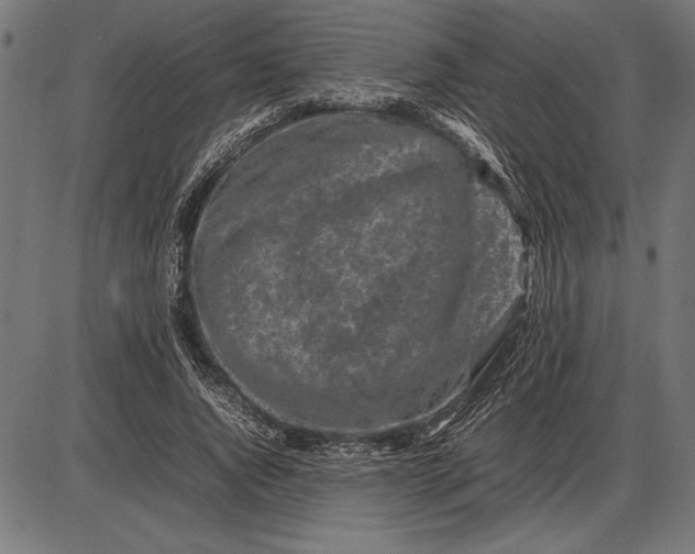 X0000086080736200704091300