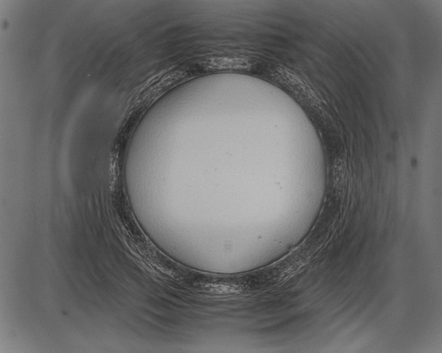 X0000086080741200704091300