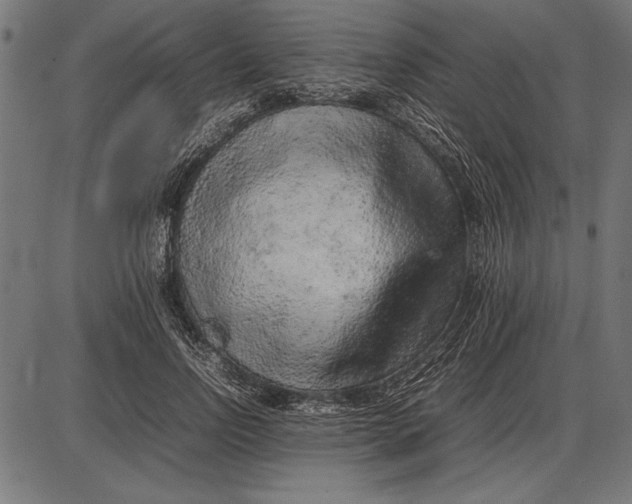 X0000086080742200704091300