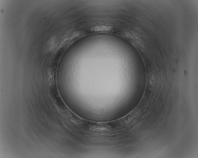 X0000086080743200704091300