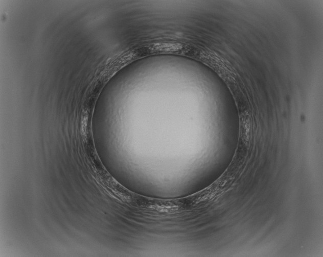 X0000086080745200704091300