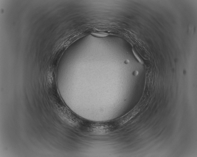 X0000086080746200704091300