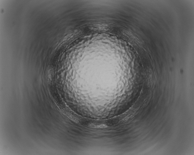 X0000086080747200704091300