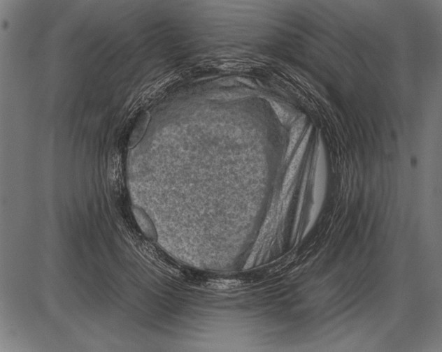 X0000086080748200704091300