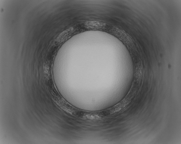 X0000086080749200704091300