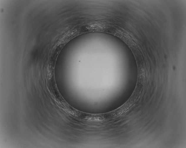 X0000086080751200704091301