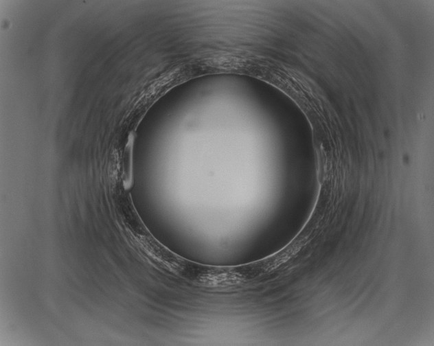 X0000086080752200704091301