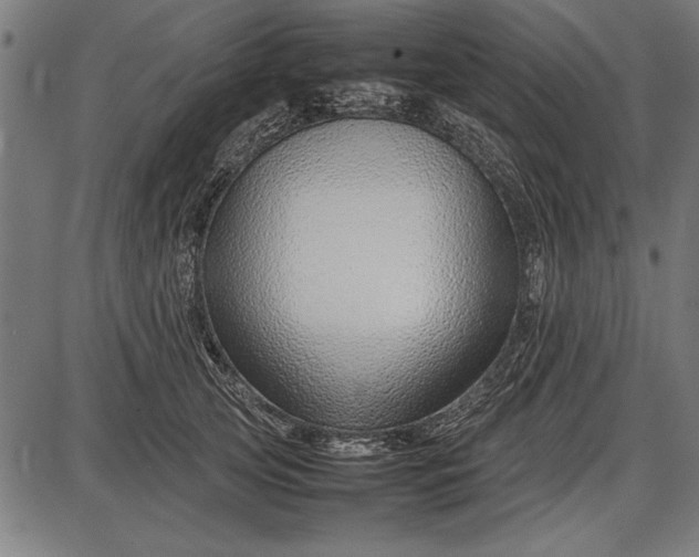 X0000086080753200704091301