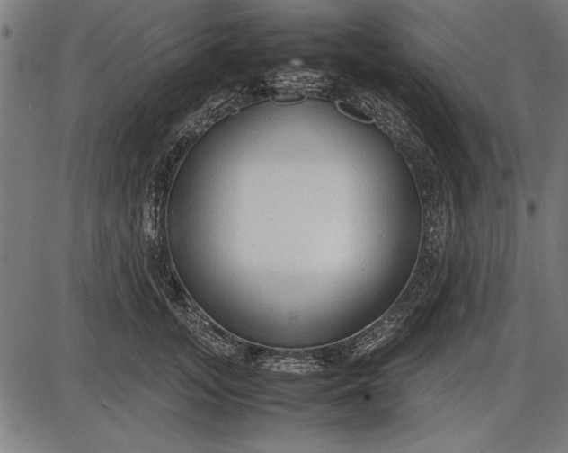 X0000086080755200704091301