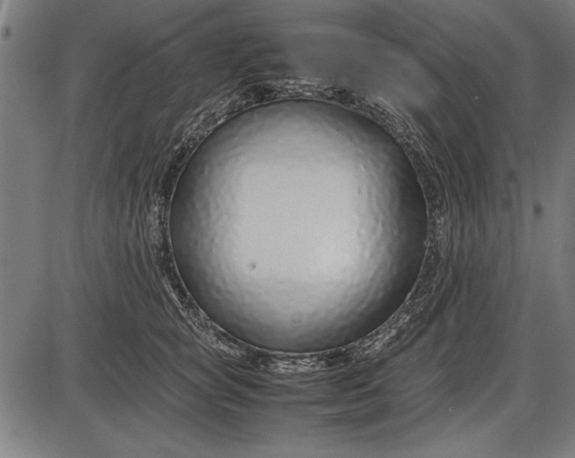 X0000086080757200704091301