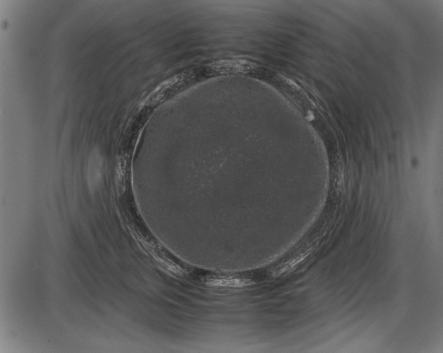 X0000086080759200704091301