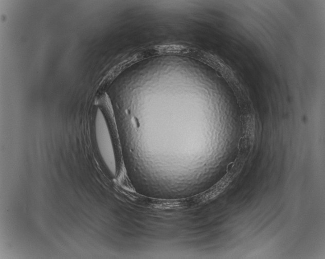 X0000086080761200704091301