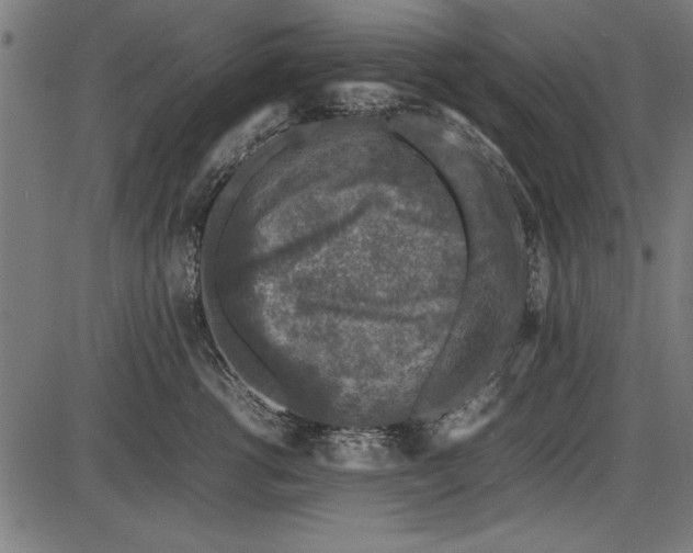 X0000086080762200704091301