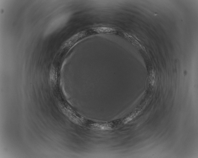 X0000086080763200704091301