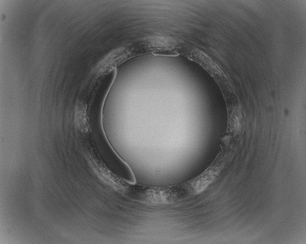 X0000086080764200704091301