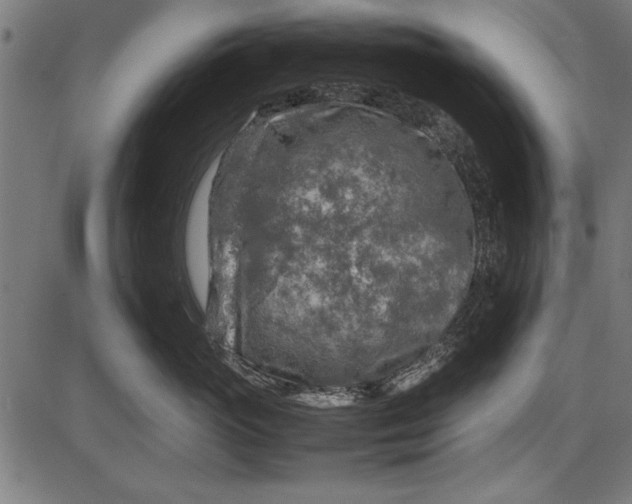 X0000086080765200704091301