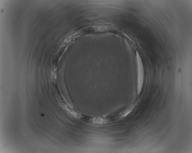 X0000086080766200704091301