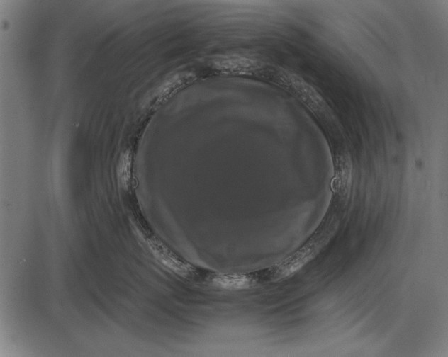 X0000086080767200704091301