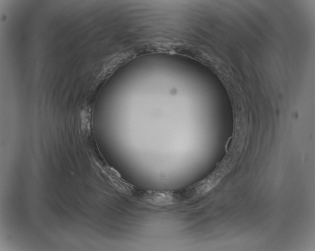 X0000086080768200704091301