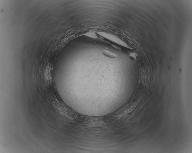 X0000086080770200704091300