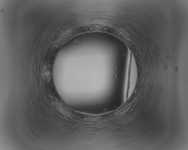 X0000086080771200704091300