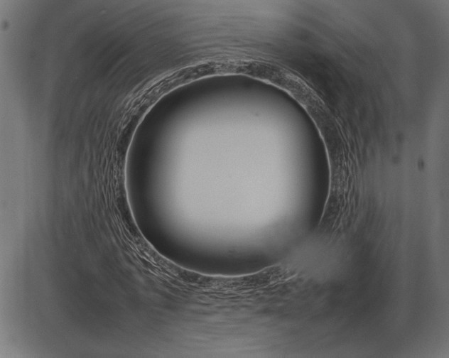 X0000086080773200704091300