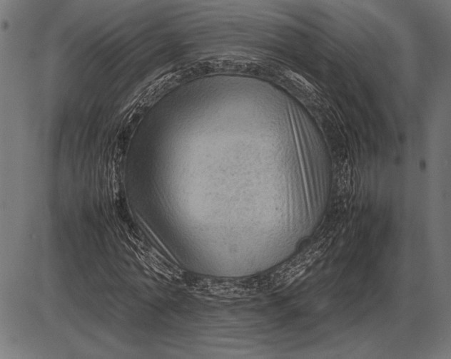 X0000086080774200704091300