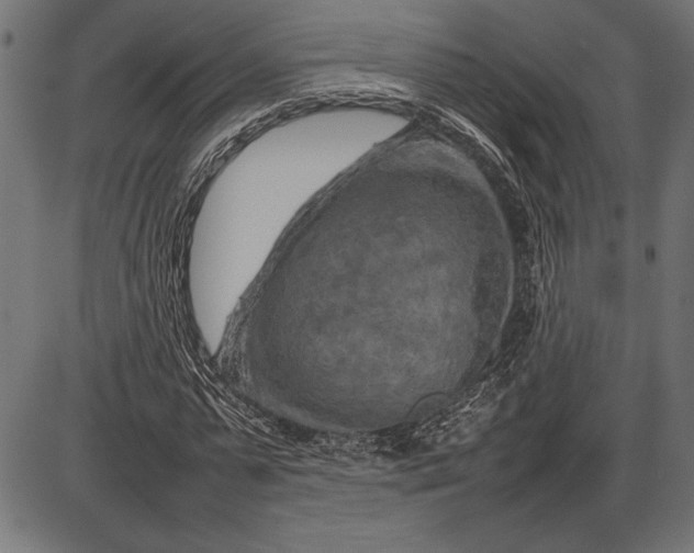 X0000086080775200704091300