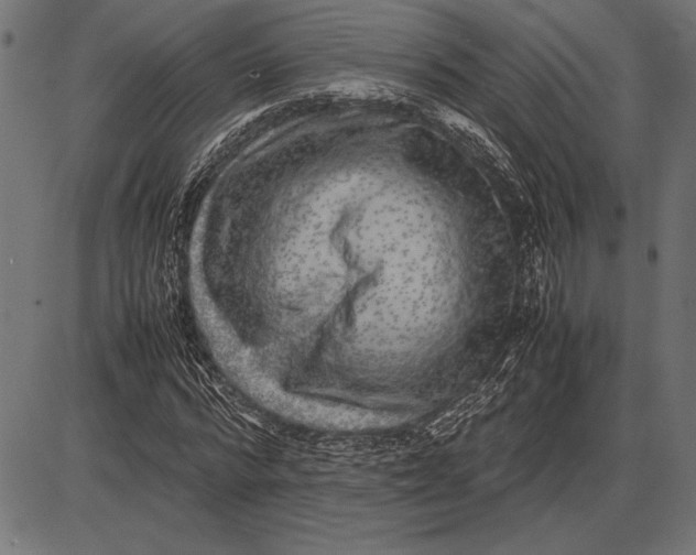 X0000086080776200704091300