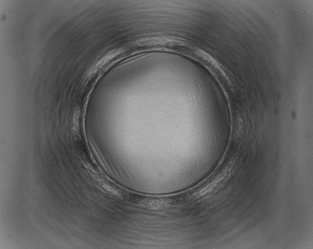 X0000086080778200704091300