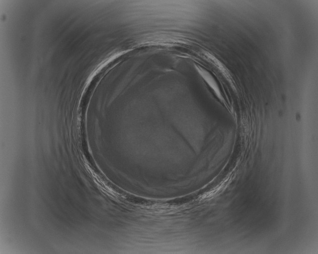 X0000086080779200704091300