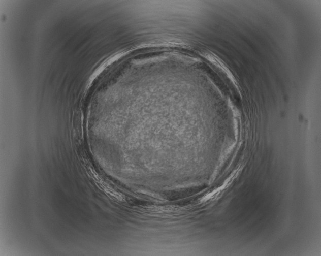 X0000086080781200704091300