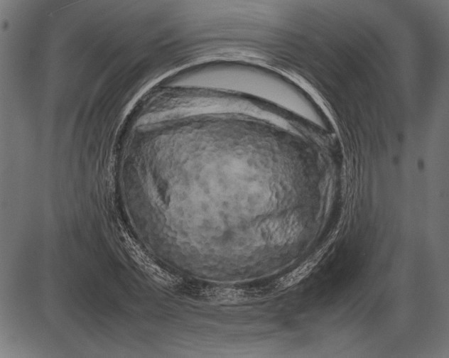 X0000086080783200704091300