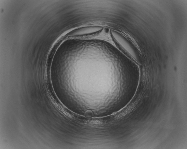 X0000086080784200704091300