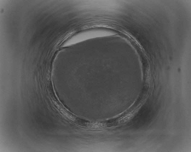 X0000086080785200704091300