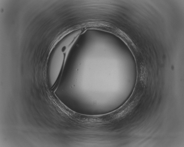 X0000086080786200704091300