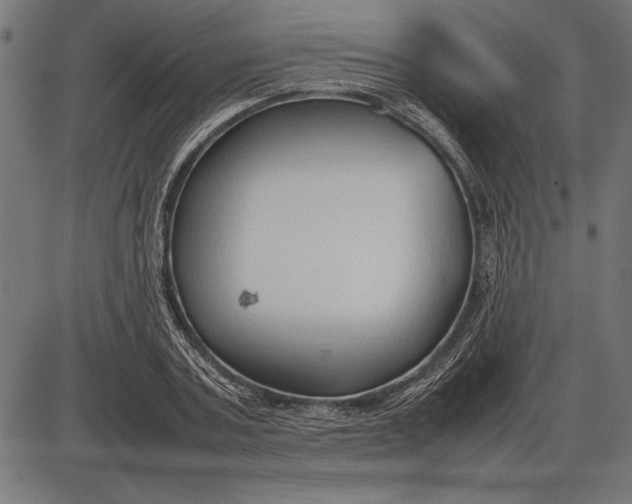 X0000086080787200704091300