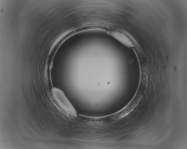 X0000086080788200704091300