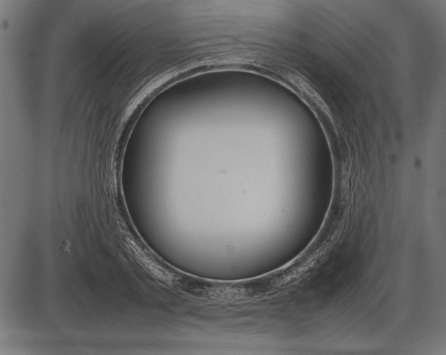 X0000086080789200704091300