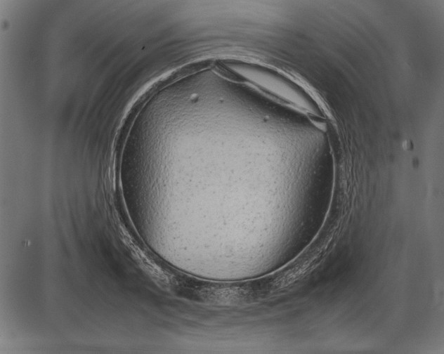 X0000086080791200704091300