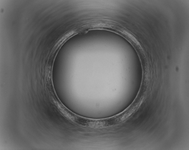 X0000086080793200704091300