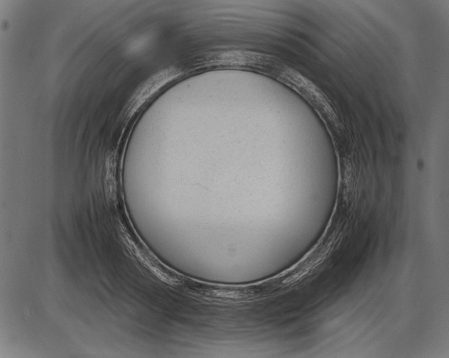 X0000086080794200704091300